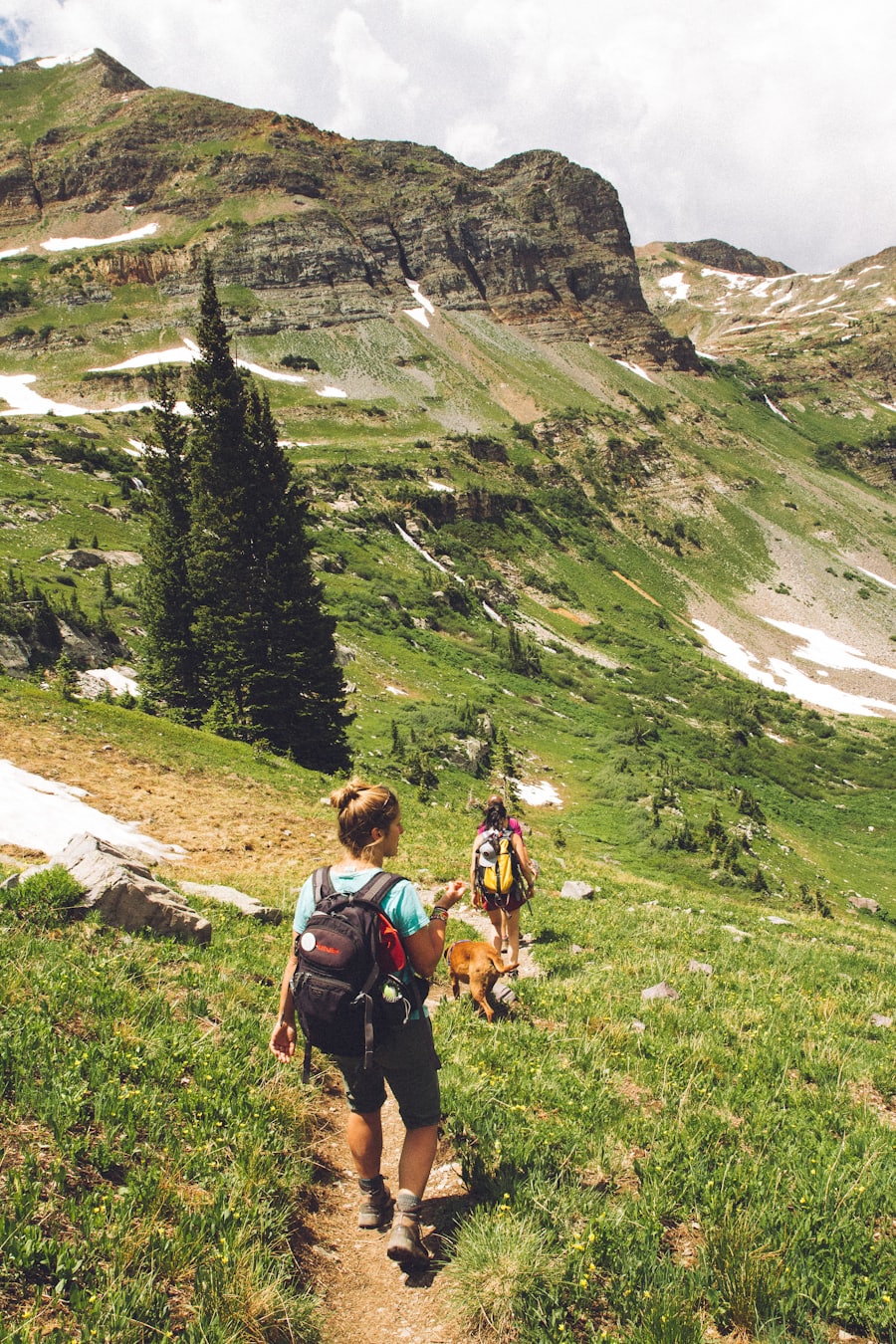 Hikers with backpacks in the mountains